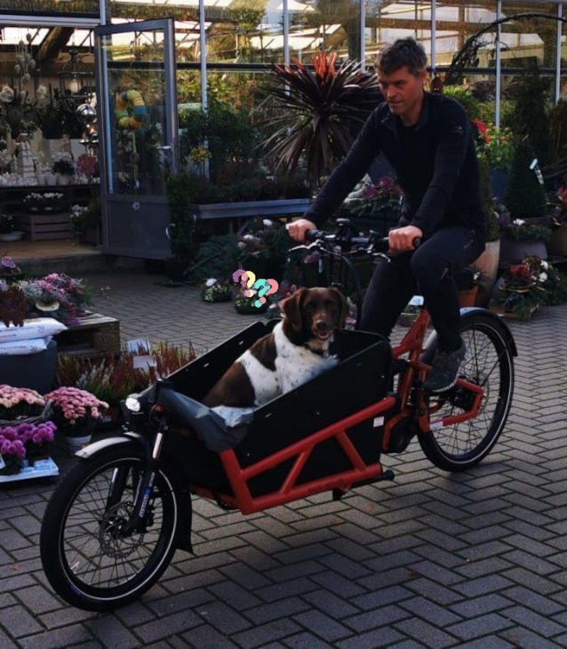 Unser neues Riese und Müller Load Vario Modell 2020 Image 1